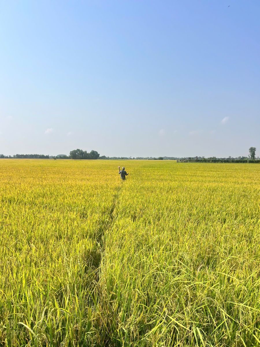 Quy trình lập Hồ sơ pháp lý đất đai minh bạch chính xác