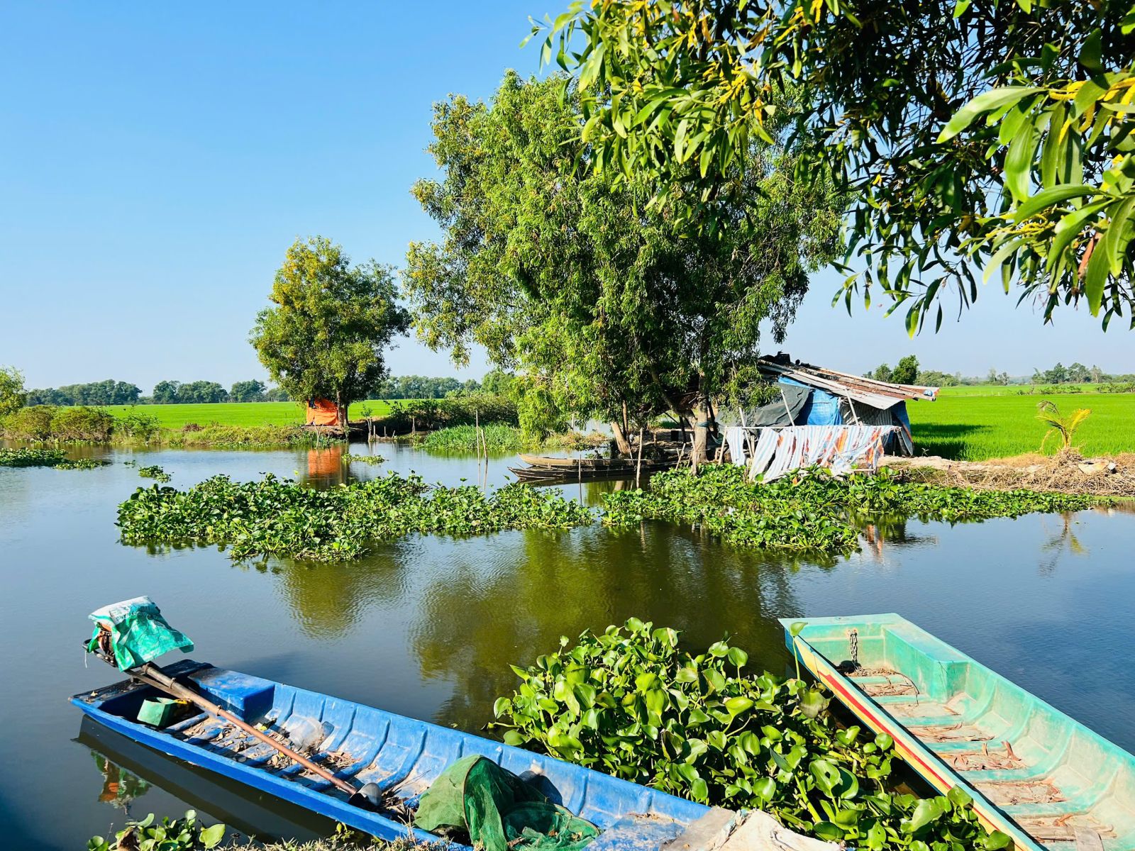 Đo đạc đất tại Gò Dầu Tây Ninh